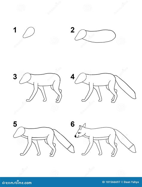 How To Draw Fox Step by Step Cartoon Illustration with White Background Stock Illustration ...