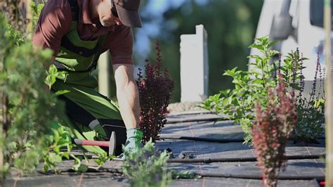 Landscaper Installing Drip Irrigation System in a Newly Developed ...