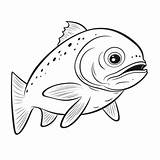 Trout Coloring Page PNG Transparent Images Free Download  Vector S sketch template