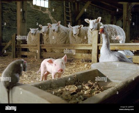 TEMPLETON,WILBUR,SAMUEL,GUSSY,GOLLY, CHARLOTTE'S WEB, 2006 Stock Photo ...