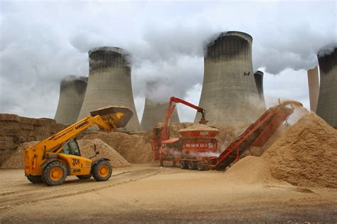 Biomass Industrial Innovative Projects: Optimization of Biomass-Coal ...