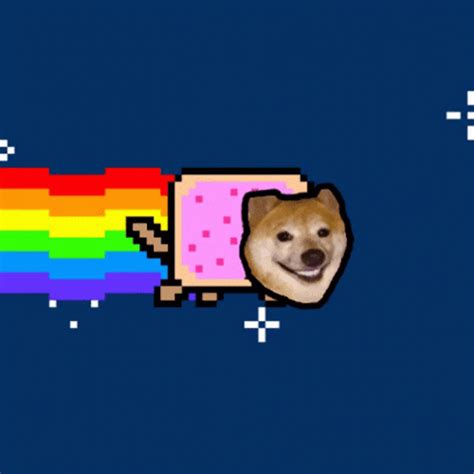 Rainbow Cat Dog Face Swap GIF | GIFDB.com