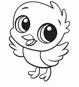Cute Chick Coloring Page  Free Printable Pages For Kids sketch template