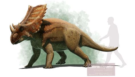 Chasmosaurus | Prehistoric Wiki | Fandom