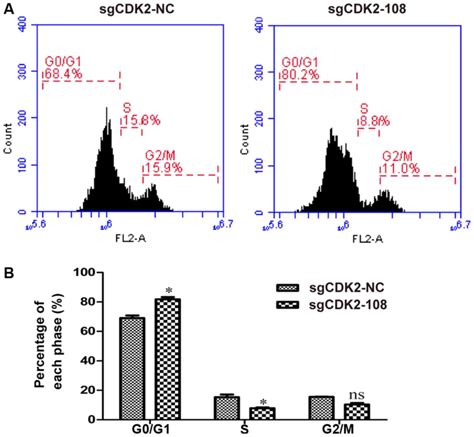 Induction of G0/G1 phase arrest and apoptosis by CRISPR/Cas9‑mediated knockout of CDK2 in A375 ...