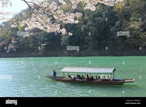 Cherry blossoms in Kyoto Arashiyama Stock Photo - Alamy