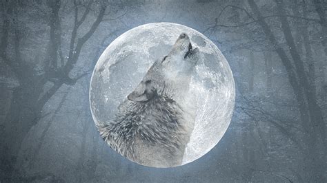 Wolf Moon Meaning 2024: Affirmations For Each Zodiac Sign – StyleCaster