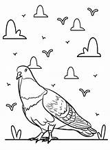 20  Pigeon Coloring Pages Free Printable PDF & Online Coloring sketch template