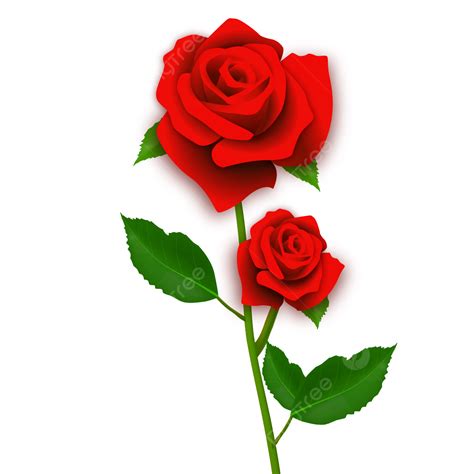 Rose Flower Vector Png