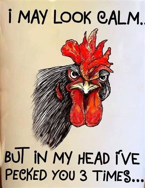 Rooster drawing | Chicken humor, Funny cartoon quotes, Rooster art