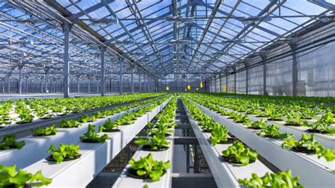 8 types of sensors for best Greenhouse Remote Monitoring Systems - Renke