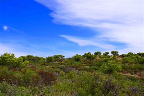 Spain Sea Green - Free photo on Pixabay - Pixabay