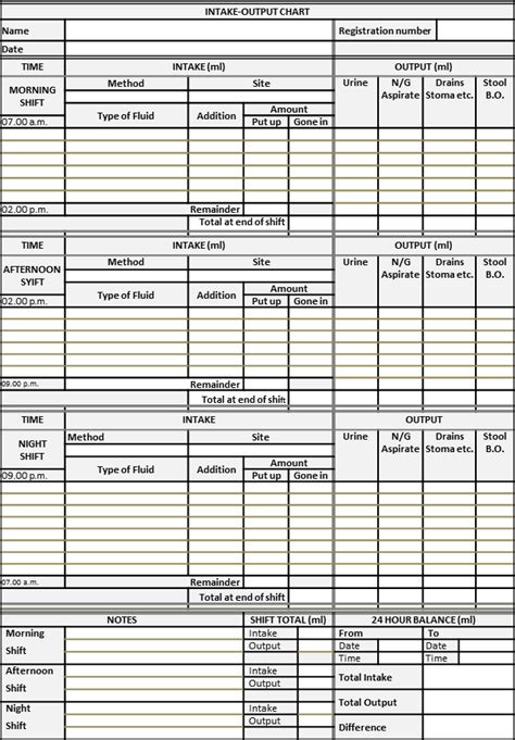 The Intake-Output Chart | Health Care Service Delivery