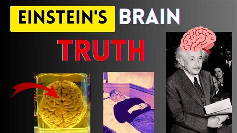 How Einstein's brain was different? How it was stolen? #einstein #brain #physics - Go IT