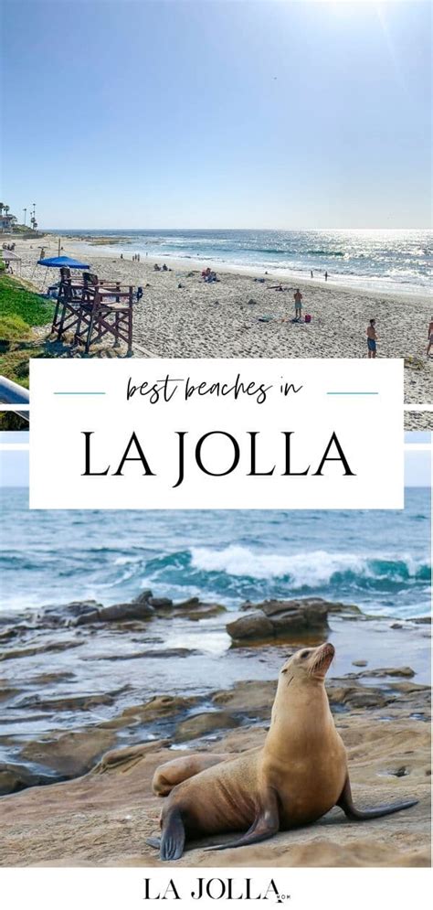 10 Best Beaches in La Jolla for Families, Surfing, & More - La Jolla Mom