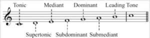 Scale Degrees: Tonic, Super-Tonic, Mediant, Sub-Dominant, Dominant, Sub-Mediant Chords.