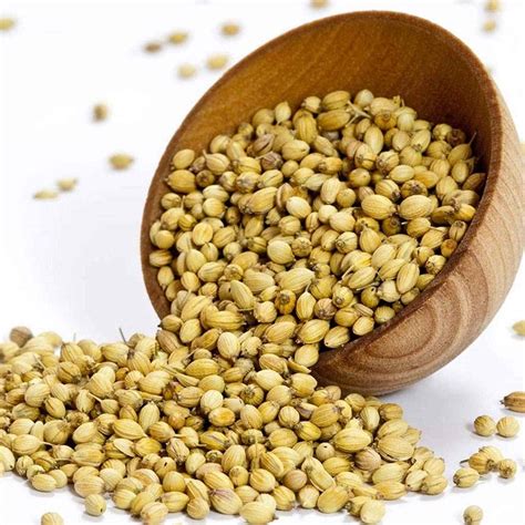 Buy Taj Premium Indian Coriander Seeds (dhania) 2 Lbs | Gandhi Foods - Quicklly