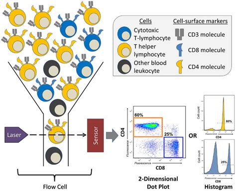 Flow Cytometry Laser