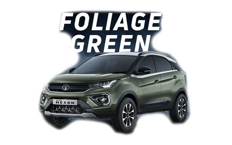 2022 Tata Nexon Colors: Blue, Green, Grey, Beige, Silver, Red, White ...