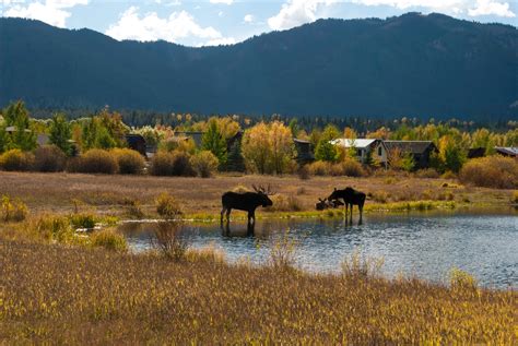 Wilson, Wyoming. Sigh... | Places to see, Natural landmarks, Fly fishing