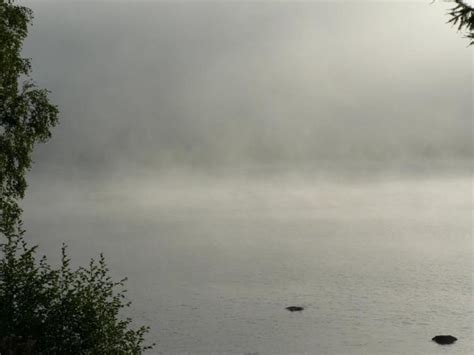 Free picture: morning, mist, lake