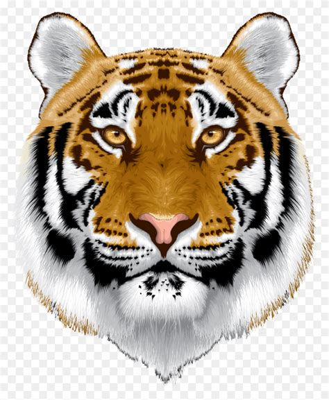 Download Cartoon Tiger Face Clipart Tiger Clip Art Tiger - Tiger Head ...