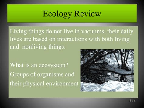 Ecology Review