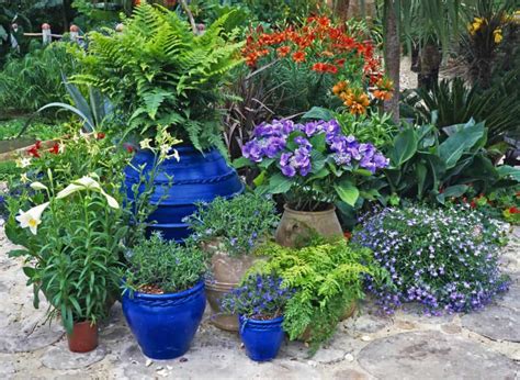 Container Gardening for Beginners - Home, Garden and Homestead