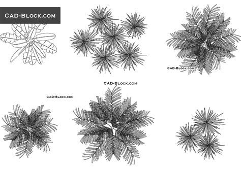 Palm Tree Top View Cad block download, free 2D AutoCAD models