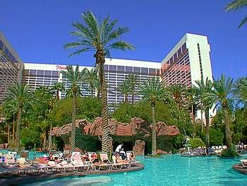 Flamingo Hotel Las Vegas Swimming Pool | Flamingo las vegas, Las vegas ...