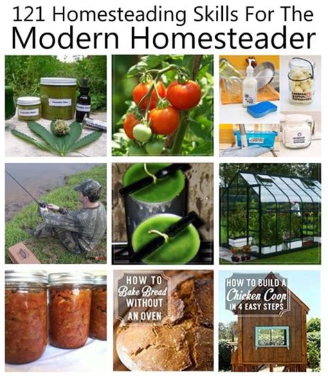 121 Homesteading Skills For the Modern Homesteader - Homestead & Survival