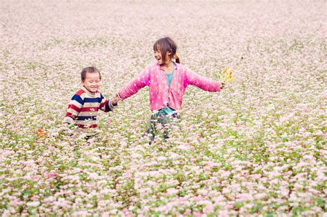 Du lịch Hà Giang mùa hoa tam giác mạch