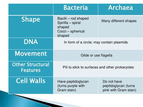 Archaea Vs Bacteria Structure