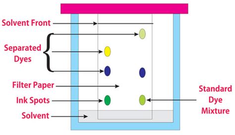 Considerations for Identification and Detection in Thin Layer ...