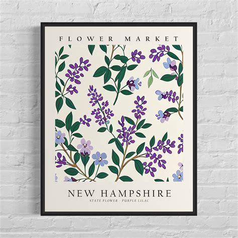 New Hampshire State Flower, New Hampshire Flower Market Art Print ...