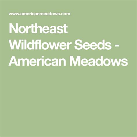 Northeast Wildflower Seeds - American Meadows | American meadows, Wildflower seeds, Wild flowers