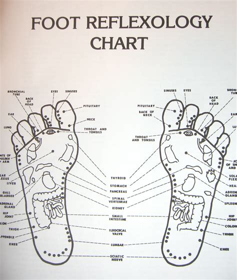 Acupressure Foot Diagram