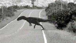 Dinosaur Caught on Camera - Is it Real? - Paranormal Elite