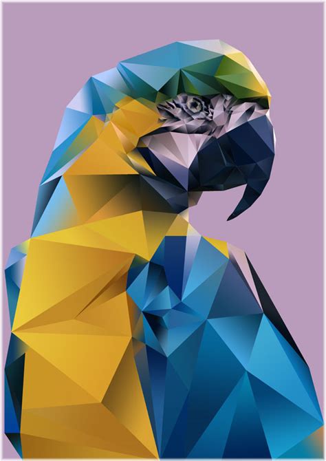 Polygon Art – Tropical Birds on Behance