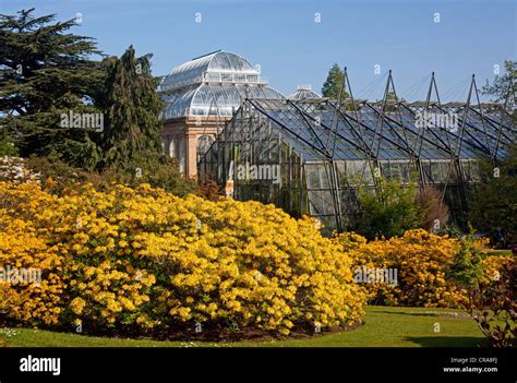 Glasshouses at the Edinburgh Royal Botanical Gardens, Scotland Stock ...