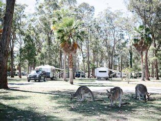 Coffs Harbour Camping: Here Are The Best Places To Pitch A Tent