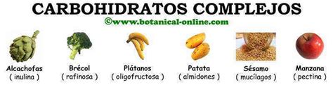 Clases de hidratos de carbono complejos – Botanical-online