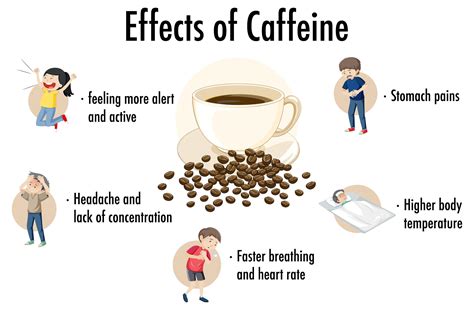 Effects of caffeine infographic 1426666 Vector Art at Vecteezy