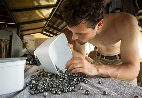 Pictures: Sustainable Pearl Farming | Pearl farm, Tahitian pearls jewelry, Pearls