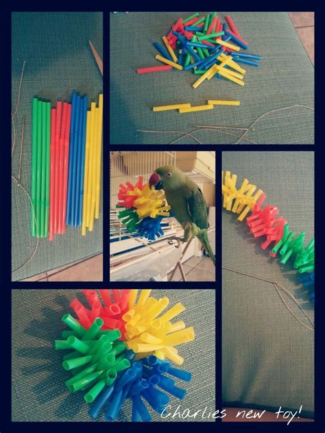 Parrot straw toy | Diy bird toys, Homemade bird toys, Handmade bird toys