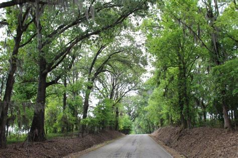 The Seven Bridges Road - South in Montgomery County, Alabama (8 Photos) | National Land Realty