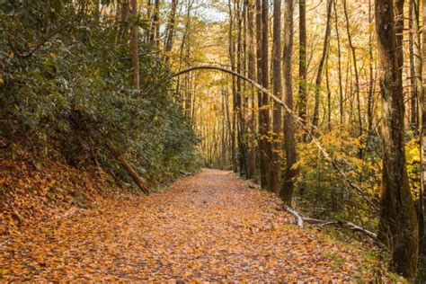 6 Best Hikes to Experience the Fall Foliage in the Smoky Mountains