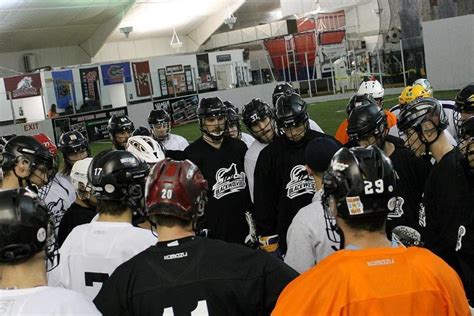 NLL preview: New England Black Wolves | Inside Lacrosse