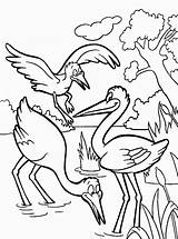 Storks Coloring Pages sketch template