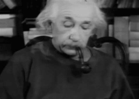 albert einstein gifs | WiffleGif